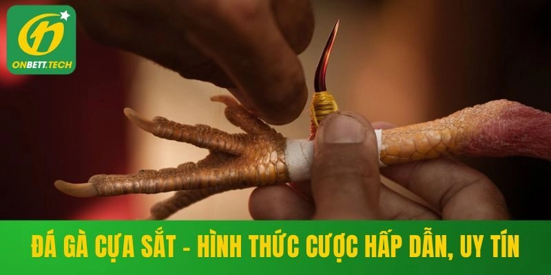 Đá Gà Cựa Sắt – Hình Thức Cược Hấp Dẫn Dành Cho Kê Thủ